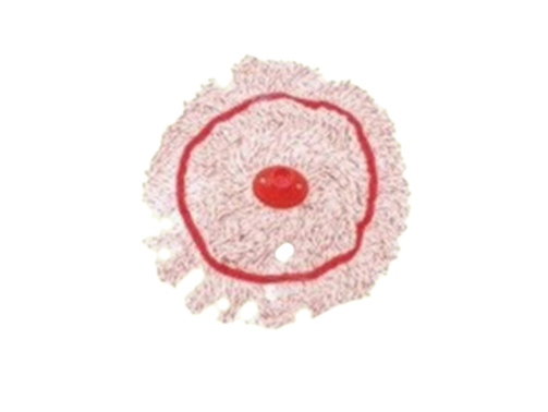 Cotton Circular Mop Colour Ribbon 300gm
