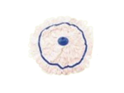 Full Colour Circular Mop 300gm