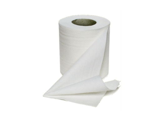 Toilet Roll Tissue - Pulp